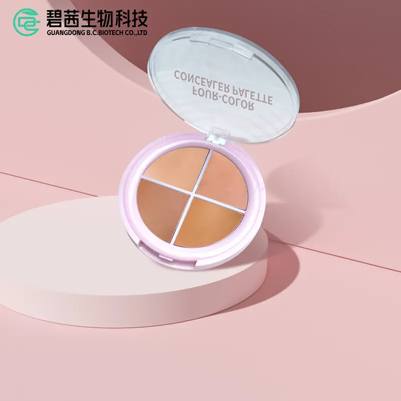 4 색 컨실러 키트